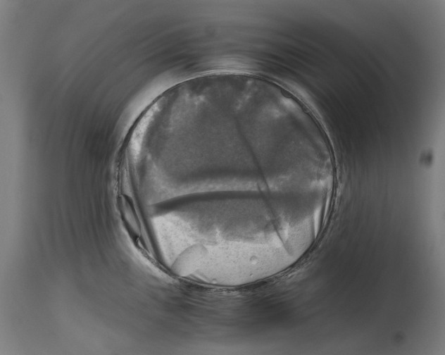 X0000114391243200911131335