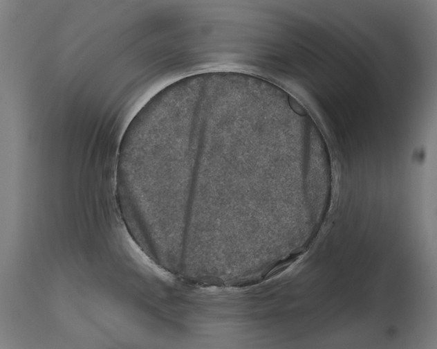 X0000114391244200911131335