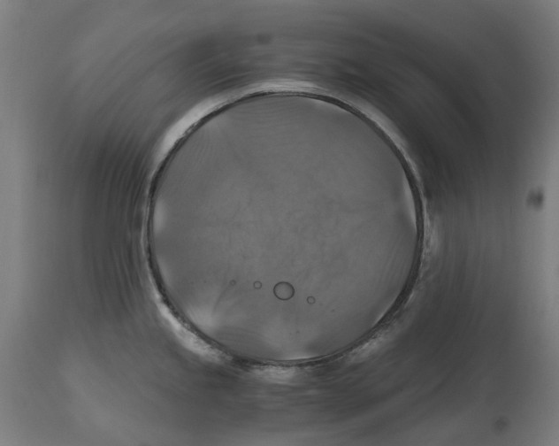 X0000114391245200911131335