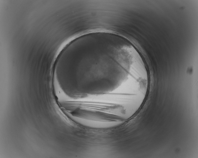 X0000114391246200911131335