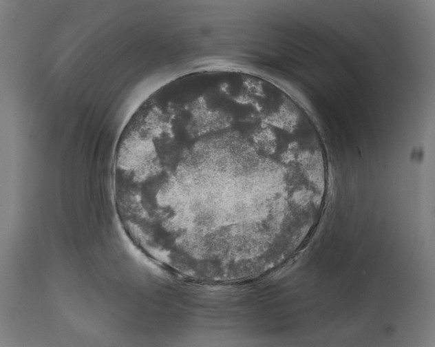 X0000114391247200911131336