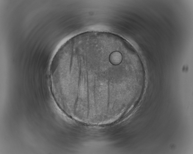 X0000114391248200911131336