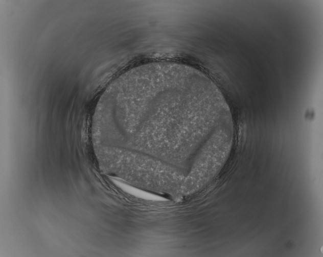 X0000114391250200911131335
