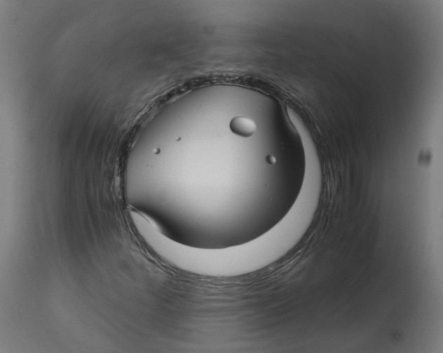 X0000114391252200911131335
