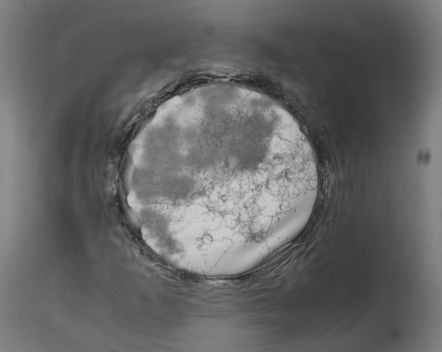 X0000114391253200911131335