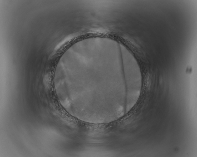 X0000114391254200911131335