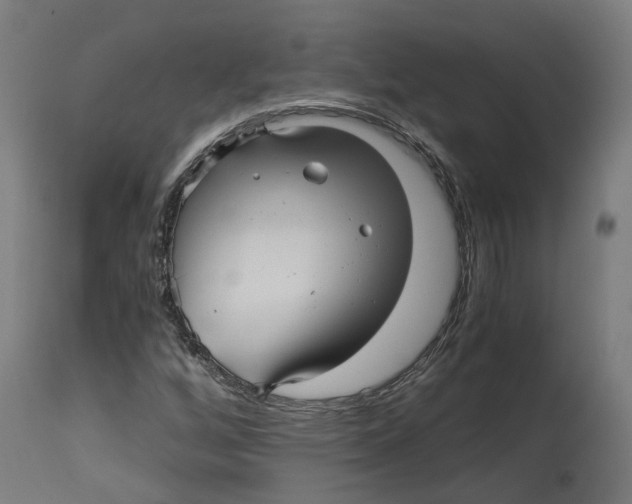 X0000114391256200911131335