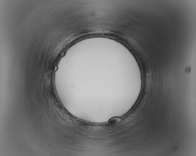 X0000114391257200911131335