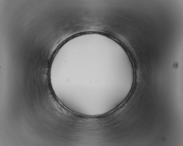X0000114391260200911131335