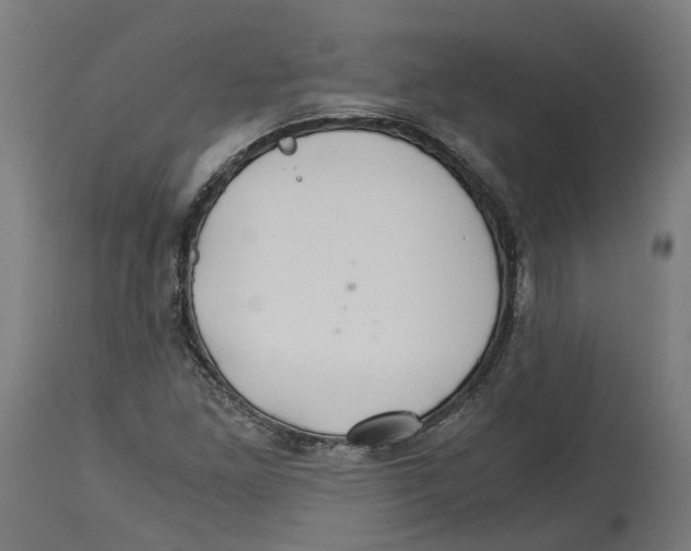X0000114391261200911131335