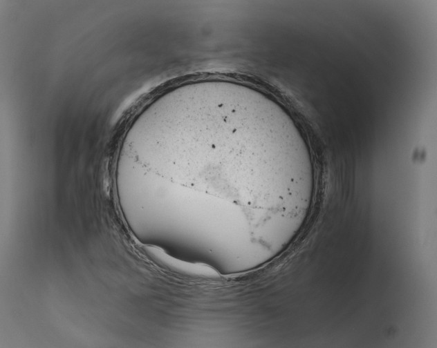 X0000114391262200911131335