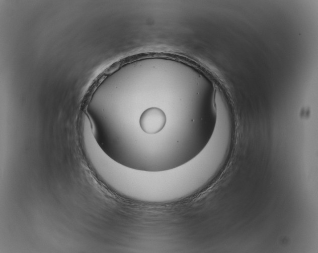 X0000114391264200911131334