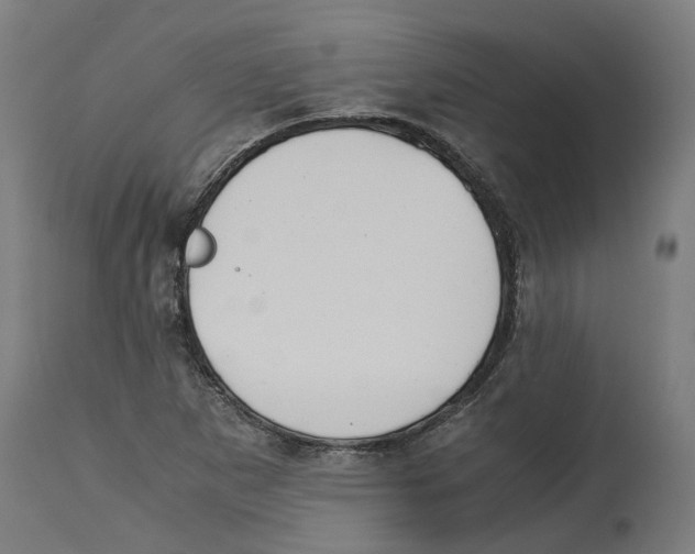 X0000114391265200911131334