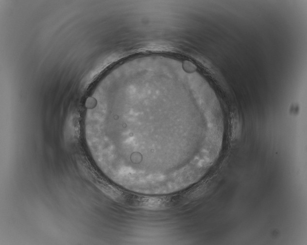 X0000114391266200911131334