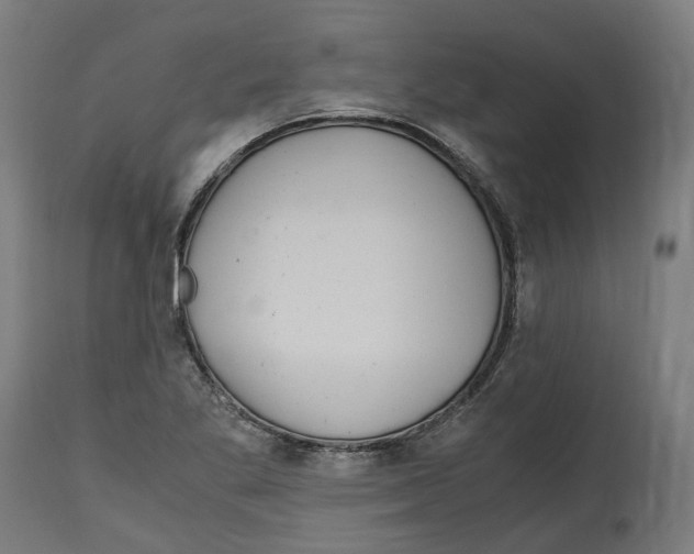 X0000114391269200911131334