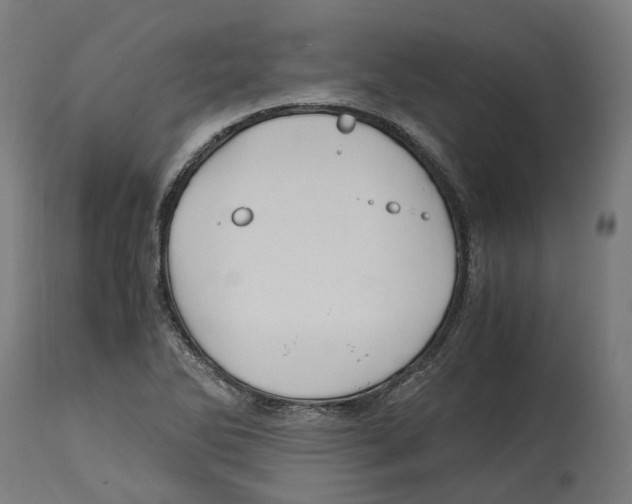 X0000114391270200911131334