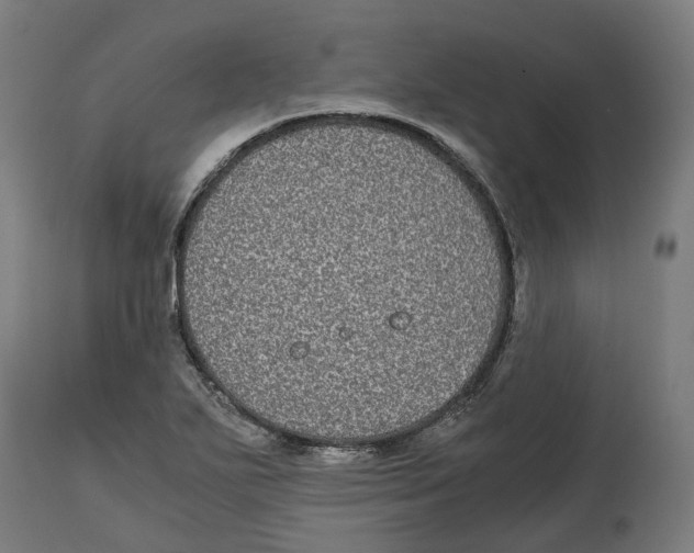 X0000114391271200911131334