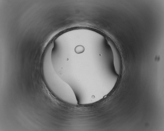 X0000114391272200911131334