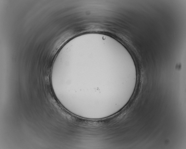 X0000114391273200911131334