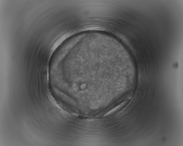 X0000114391274200911131334