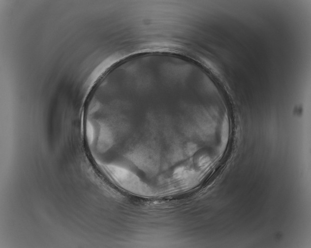 X0000114391275200911131334