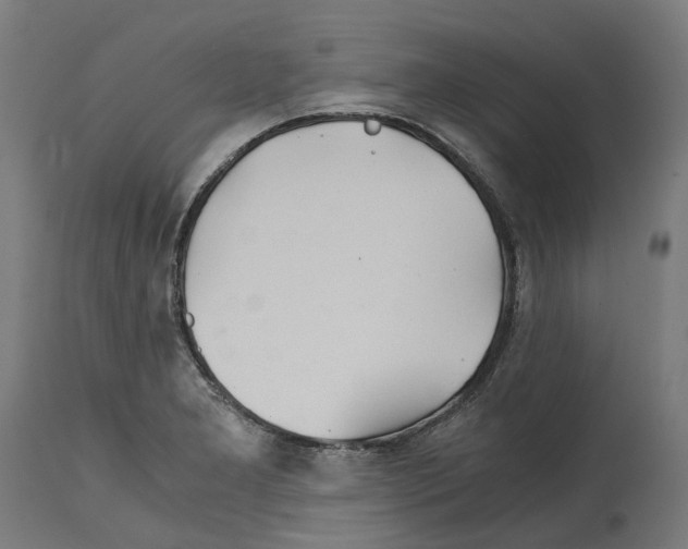 X0000114391277200911131334