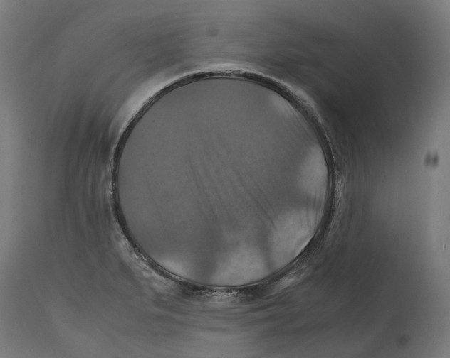 X0000114391279200911131334