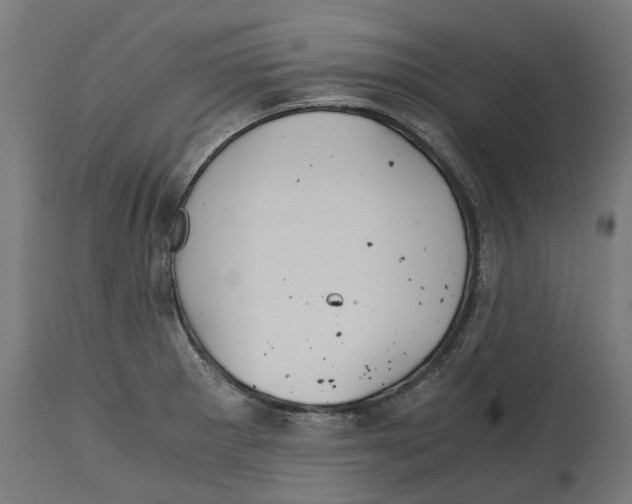 X0000114391281200911131334