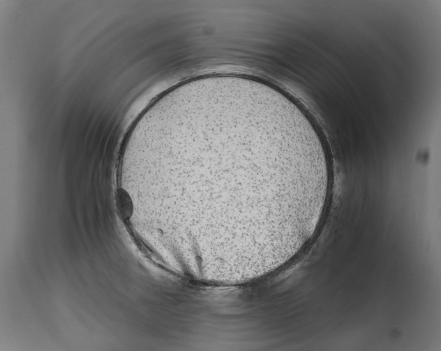 X0000114391282200911131334