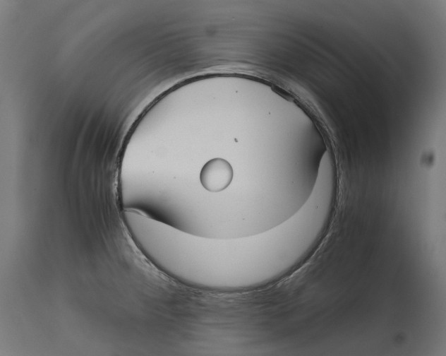 X0000114391284200911131334