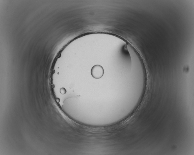 X0000114391285200911131334