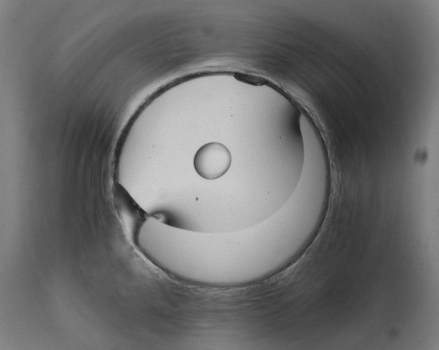 X0000114391288200911131334