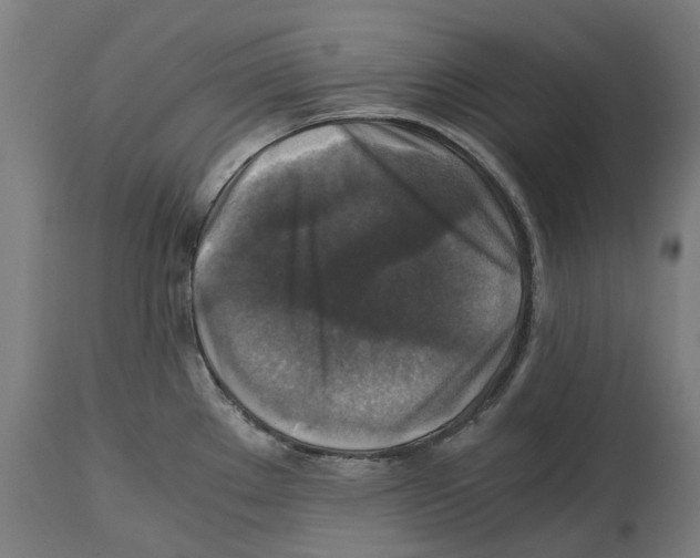 X0000114391289200911131334