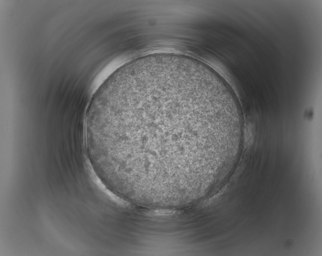 X0000114391290200911131334