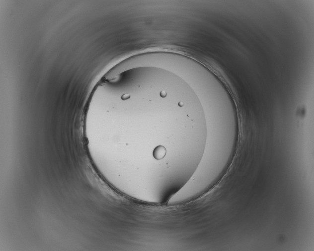 X0000114391292200911131334