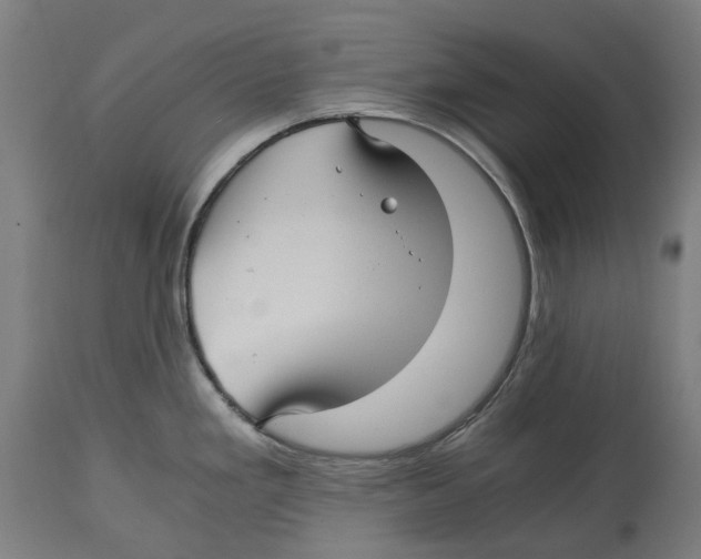 X0000114391293200911131334