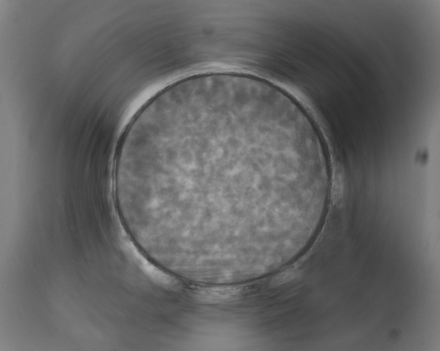 X0000114391294200911131334
