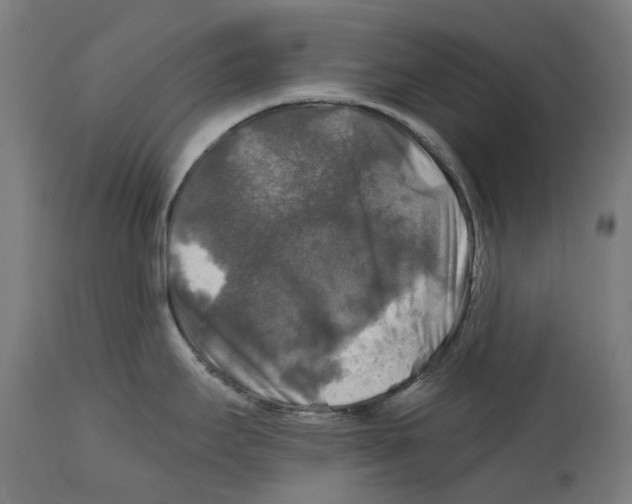 X0000114391295200911131334