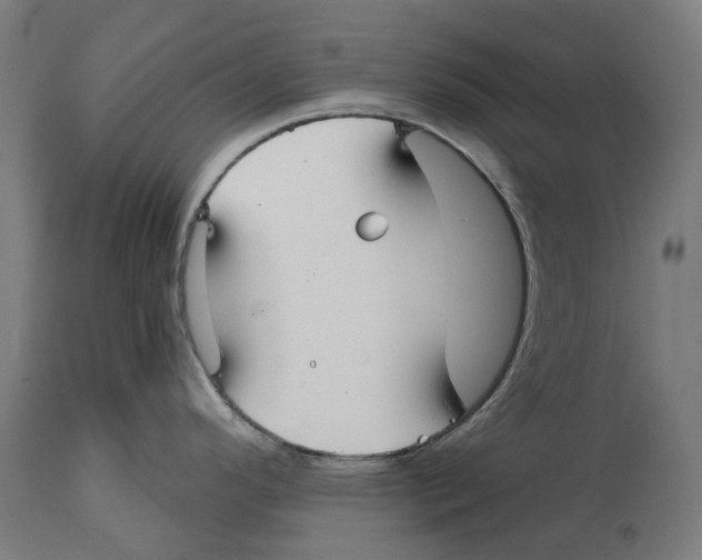 X0000114391296200911131334