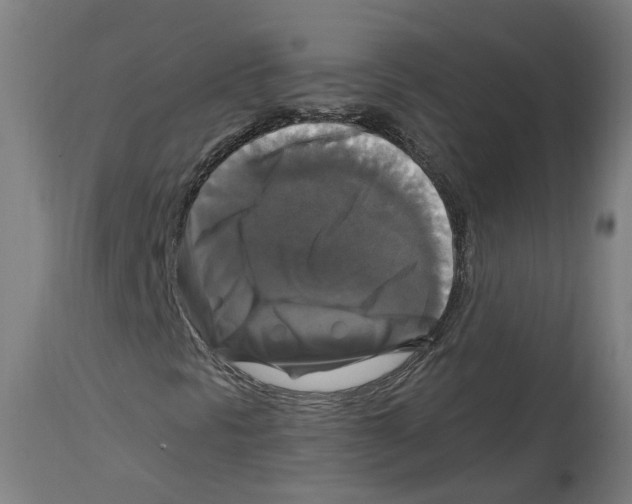 X0000114391297200911131333