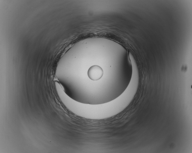X0000114391298200911131333
