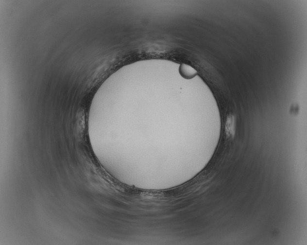 X0000114391299200911131333