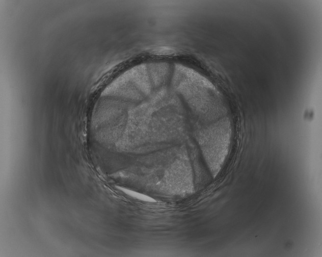 X0000114391301200911131333