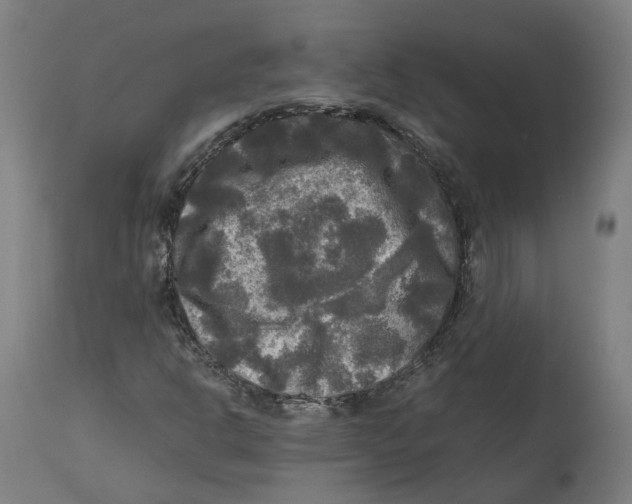 X0000114391302200911131333