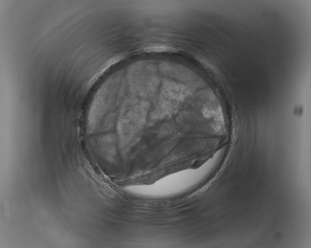 X0000114391305200911131333