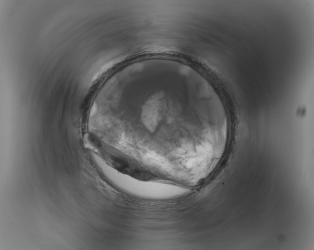 X0000114391306200911131334