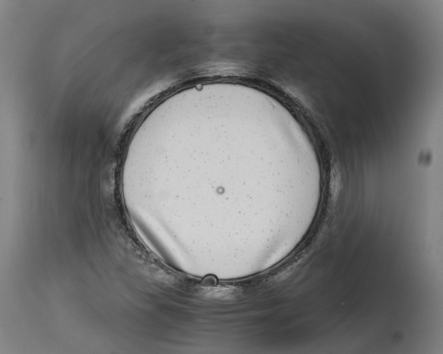 X0000114391309200911131334