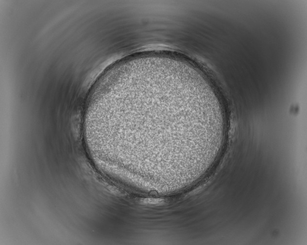 X0000114391313200911131334