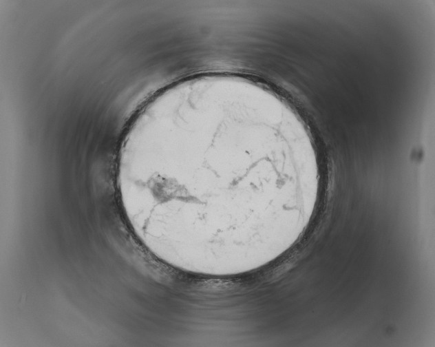 X0000114391314200911131334