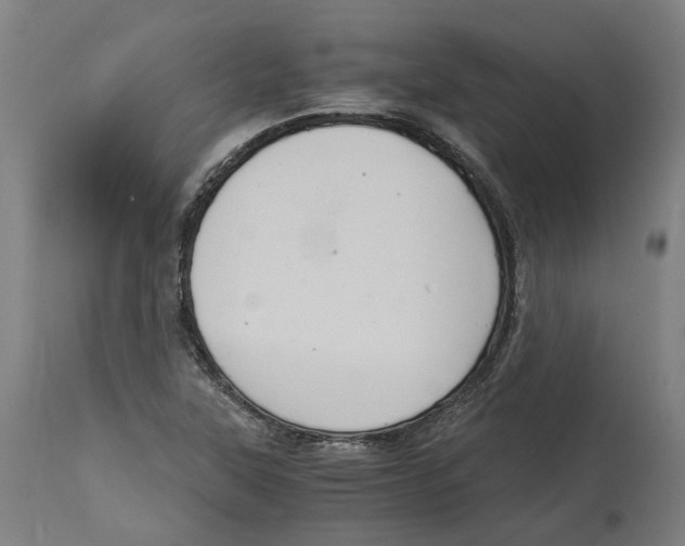 X0000114391315200911131334